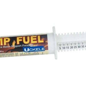 Amp Fuel Paste