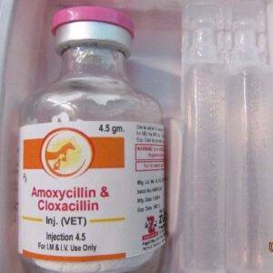 Amoxicillin Injection 1g