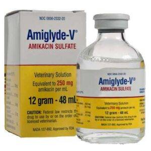 Almiglyde-v For treatment of uterine infections in mares, 2 grams (8 mL) of AMIGLYDE-V, mixed with 200 mL 0.9% Sodium chloride injection, USP and