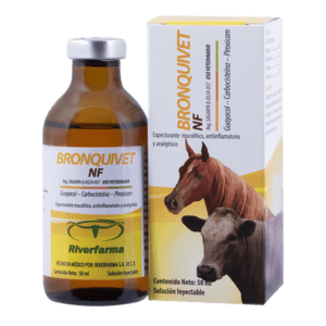 Bronquivet