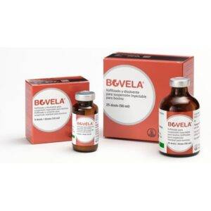 Bovela bvd vaccine