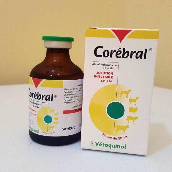 Boy Corebral Injection online | Corebral Injection for sale | Corebral