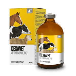 Dexavet Injection is a veterinary corticosteroid containing dexamethasone, which is used to treat various inflammatory, allergic, and immune-mediated