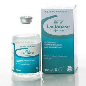 lactanase for horse, lactanase injection for horse , lactanase equine, lactanase power, lactanase paste for horse