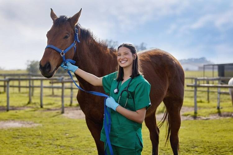 banamine dosage for horses