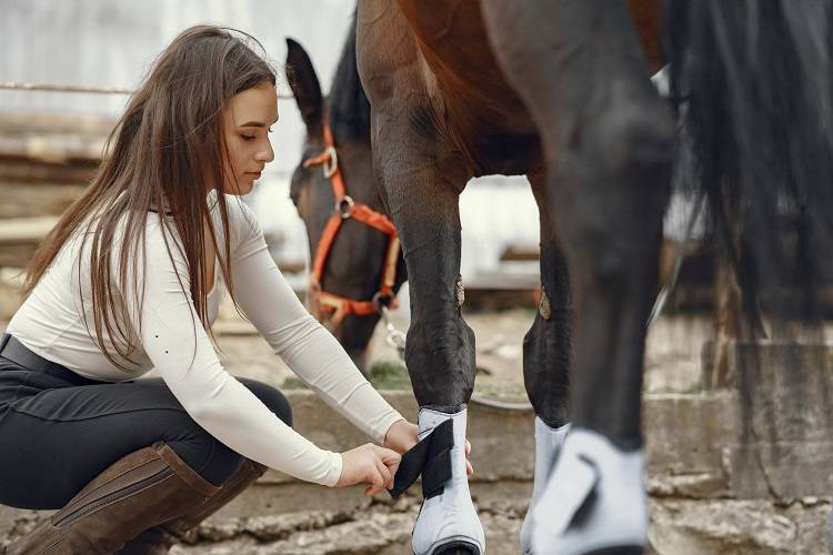 horse muscle recovery supplement