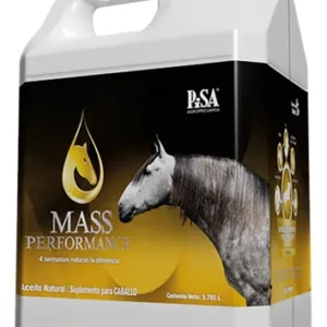 mass performance caballos | Buy mass performance caballos