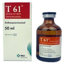 T-61 Vet | T-61 euthanasia solution | T-61 MSD Animal Health