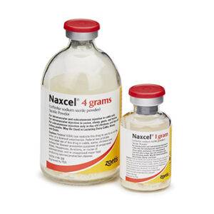 Naxcel Injection for horses | Buy Naxcel antibiotic for cattle
