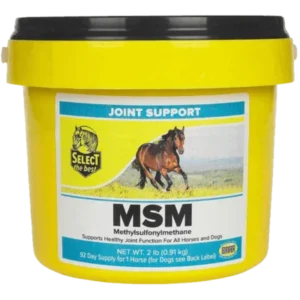 MSM Supplement for Horses | horse inflammation relief