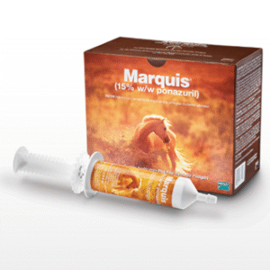 where to buy marquis paste for horses | marquis paste for cats