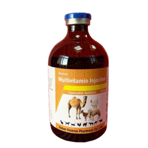 Veterinary Multivitamin Injection | livestock vitamin injection