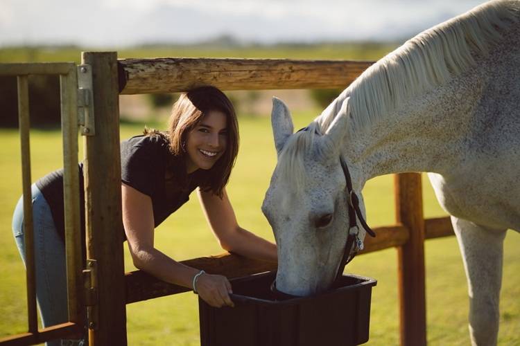 horse muscle recovery supplement