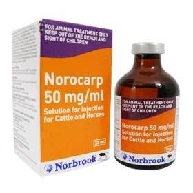 Buy Norocarp Solution online | Buy Norocarp Solution online