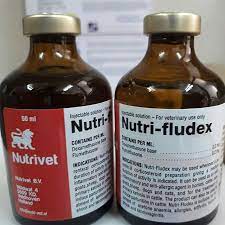 Nutri-Fludex | Pre-race camel anti-inflammatory injection