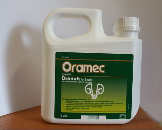 Buy Oramec Drench for Sheep – a trusted ivermectin wormer for controlling stomach worms, lungworms, and nasal bots. Safe, effective, and easy to administer.