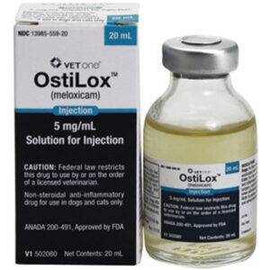 Ostilox Injection | Anti-Inflammatory Pain Relief for Horses